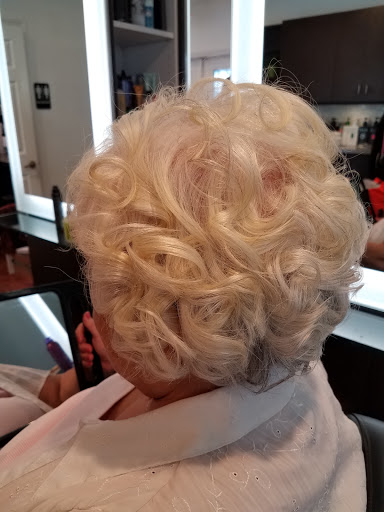 Hair Salon «Retro Salon Studios», reviews and photos, 8557 W Linebaugh Ave, Tampa, FL 33625, USA