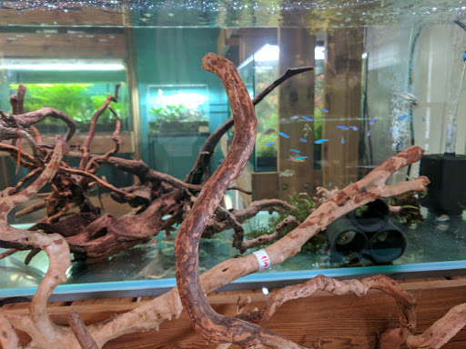 Tropical Fish Store «Aquarium Zen», reviews and photos, 920 NE 64th St, Seattle, WA 98115, USA