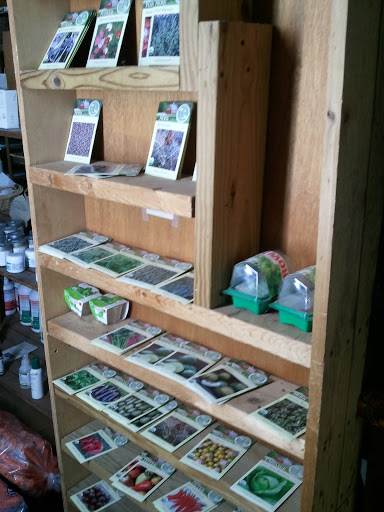 Raw Food Restaurant «Treehouse For Earths Children Holistic Center», reviews and photos, 22906 Mooney St, Farmington, MI 48336, USA