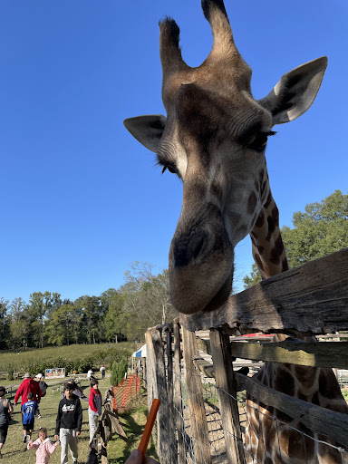 Farm «Pettit Creek Farms», reviews and photos, 337 Cassville Rd, Cartersville, GA 30120, USA