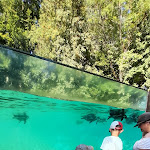 Photo n° 25 de l'avis de Missansan. fait le 27/08/2022 à 20:39 pour ZooParc de Beauval Entrée Nord à Saint-Aignan