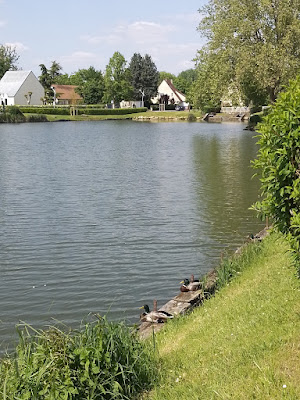 Club Port Sud à Breuillet