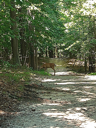 Nature Preserve «Lake Maury Natural Area», reviews and photos, Gatewood Rd, Newport News, VA 23601, USA