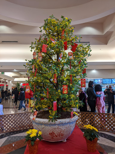 Shopping Mall «Grand Century Shopping Mall», reviews and photos, 1111 Story Rd, San Jose, CA 95122, USA