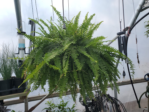 Garden Center «Beachside Gardens & Gifts», reviews and photos, 3725 US-12, Michigan City, IN 46360, USA