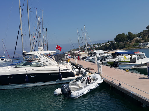 Egesu Güllük Marina