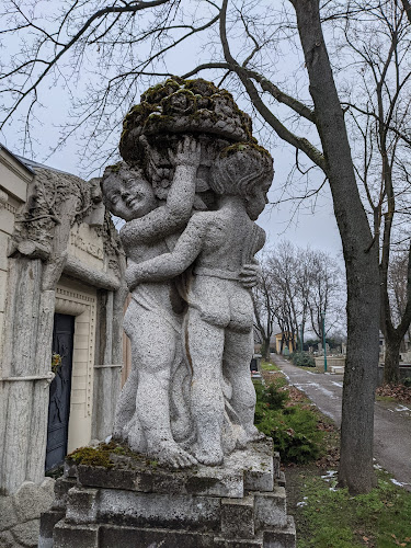 Értékelések erről a helyről: Belvárosi temető, Szeged - Temetkezési vállalkozás
