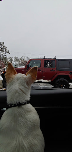 Pet Supply Store «Pet Food Warehouse», reviews and photos, 2500 Williston Rd, South Burlington, VT 05403, USA