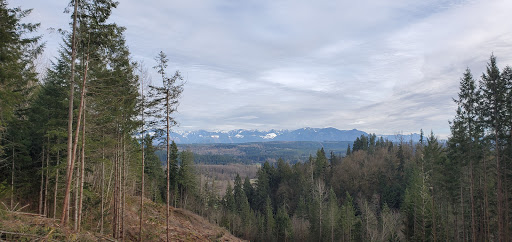 Golf Course «The Blue Heron Golf Course», reviews and photos, 1810 W Snoqualmie River Rd, Carnation, WA 98014, USA