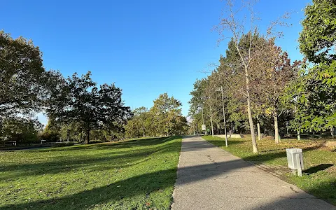 Neuer Rebstock Park image