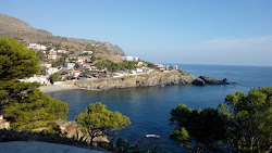 Photo de Platja Rovellada avec un niveau de propreté de très propre