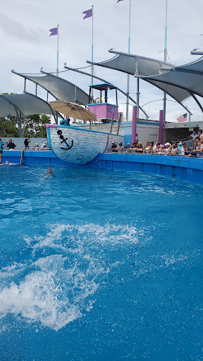 Tour Agency «Miami Swim With Dolphin Tours», reviews and photos, 247 SW 8th St, Miami, FL 33130, USA