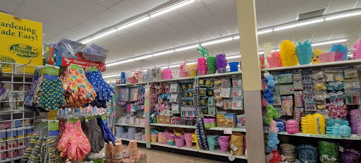 Dollar Store «Dollar Tree», reviews and photos, 419 W Main St, Batavia, NY 14020, USA