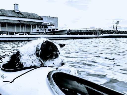 Park «Clyde Beach Park», reviews and photos, 2 92nd Ave NE, Bellevue, WA 98004, USA