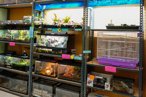 Pet Supply Store «Arcata Pet», reviews and photos, 600 F St #6, Arcata, CA 95521, USA