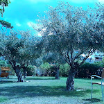 Photo n°7 de l'avis de Renzo.o fait le 04/11/2017 à 17:59 sur le  Hotel Park Victoria à Forio