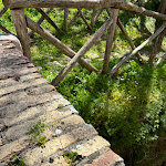 Photo n°4 de l'avis de Silvia.r fait le 07/04/2024 à 16:18 sur le  Osteria dell'Elefante à Torrimpietra