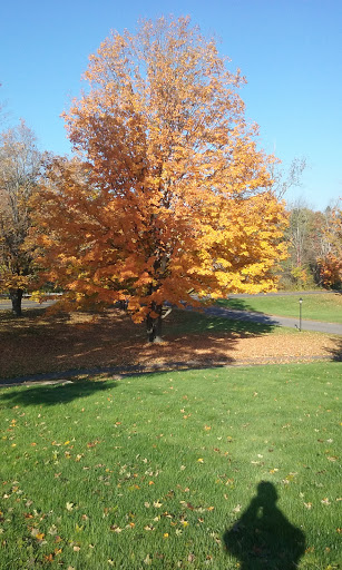 Wedding Venue «The Barns at Wesleyan Hills», reviews and photos, 616 Long Hill Rd, Middletown, CT 06457, USA