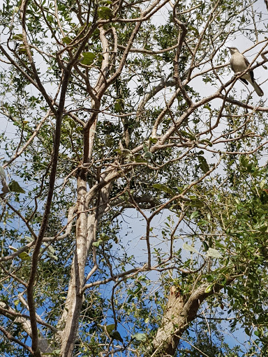 Park «Bay View Park», reviews and photos, 4401 Bayview Dr, Fort Lauderdale, FL 33308, USA