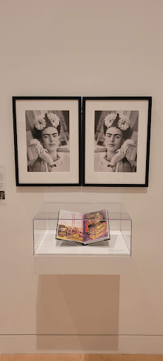 Art Museum «The Rose Art Museum», reviews and photos, 415 South St, Waltham, MA 02453, USA