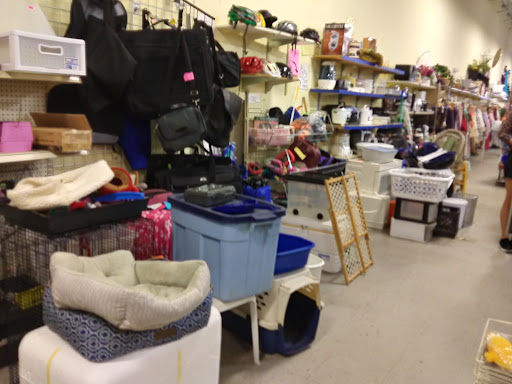Thrift Store «Second Image Thrift Store», reviews and photos, 9103 US-19, Pinellas Park, FL 33782, USA