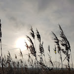 Photo n°3 de l'avis de Nat.a fait le 03/12/2018 à 11:39 sur le  Haus Anna Elbe – Bauernhaus mit Ferienwohnungen, Eventlocation, Café à Hamburg