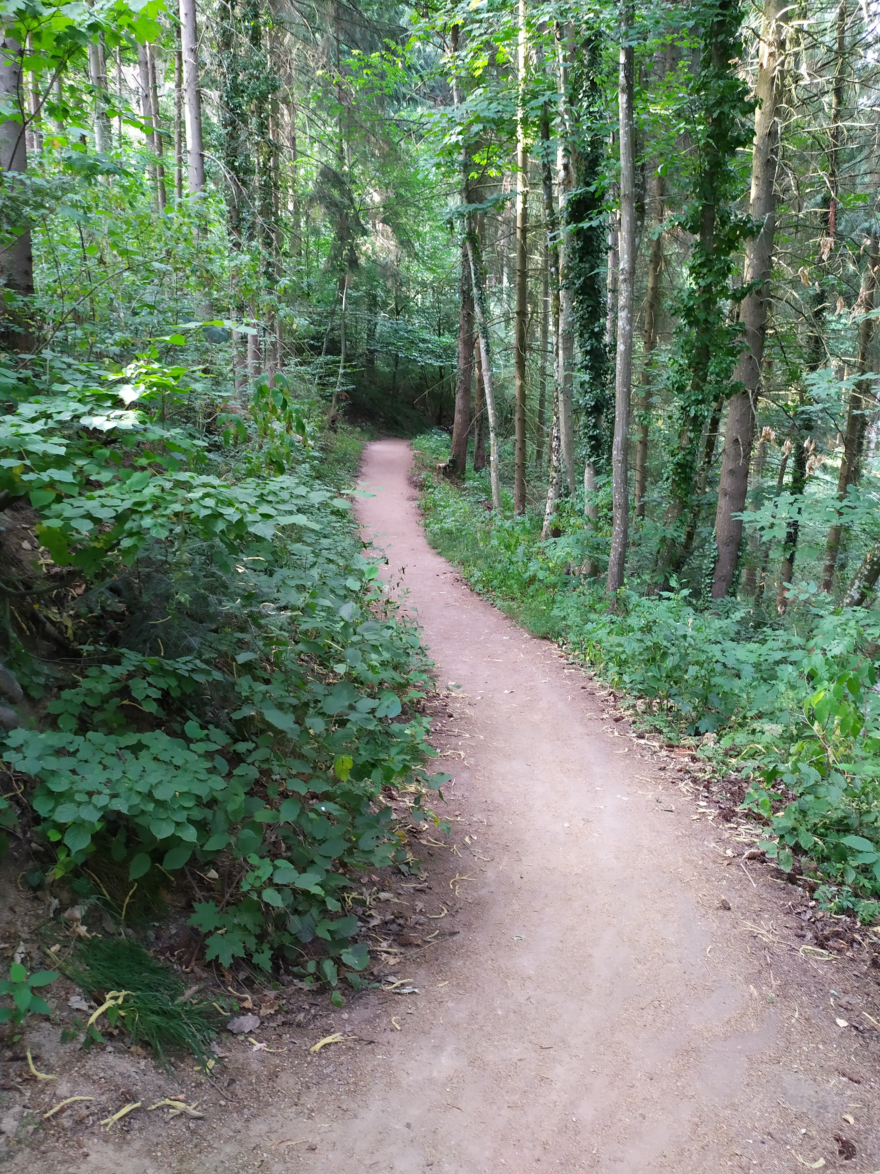 Photo n° 1 de l'avis de giuliani.a fait le 20/07/2019 à 00:16