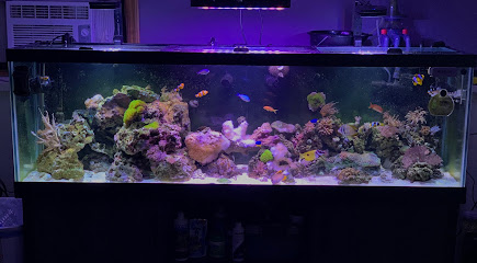 716 Aquariums