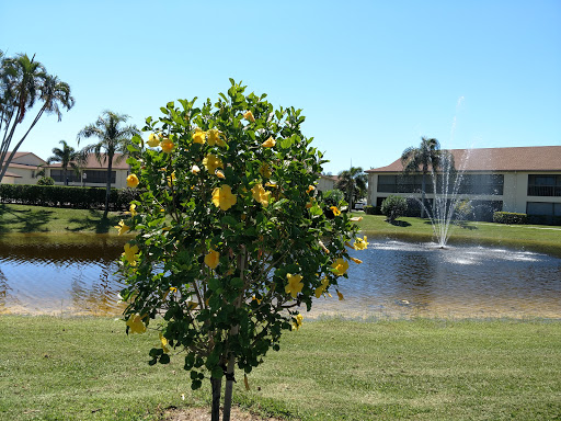 Golf Course «Golf Club Of Jupiter Inc», reviews and photos, 1800 Central Blvd, Jupiter, FL 33458, USA