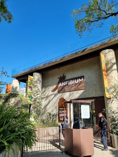 ANFIBIUM: Museo del Axolote y Centro de Conservación de Anfibios