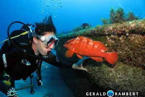 Sundivers / Diving in Mauritius image