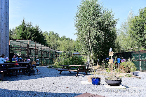 attractions Jardin des Hiboux Bièvre