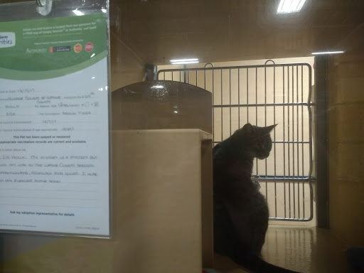 Pet Supply Store «PetSmart», reviews and photos, 790 Jefferson Rd #200, Rochester, NY 14623, USA