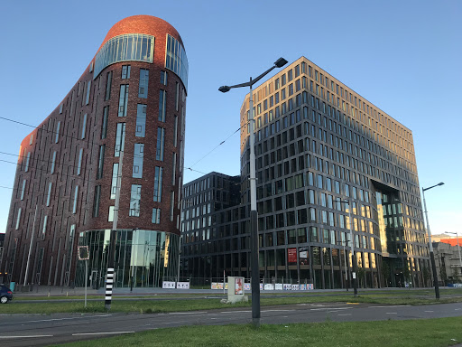 Universities psychology Amsterdam