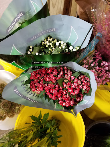 Florist «Sieck-Wright Floral Products», reviews and photos, 231 Monmouth St, Hightstown, NJ 08520, USA