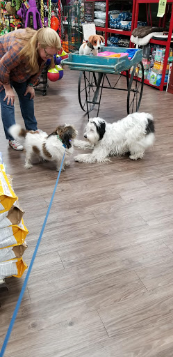 Pet Supply Store «At Your Services Pet Supplies», reviews and photos, 55 S Valle Verde Dr #300, Henderson, NV 89012, USA