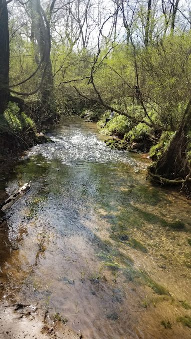 Buzzard Roost Springs Parking Loop