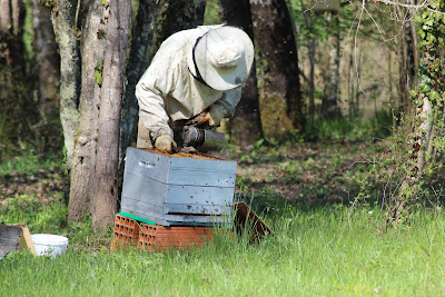 L'abeille Marminiacoise Cessac Christophe Apiculteur à Marminiac