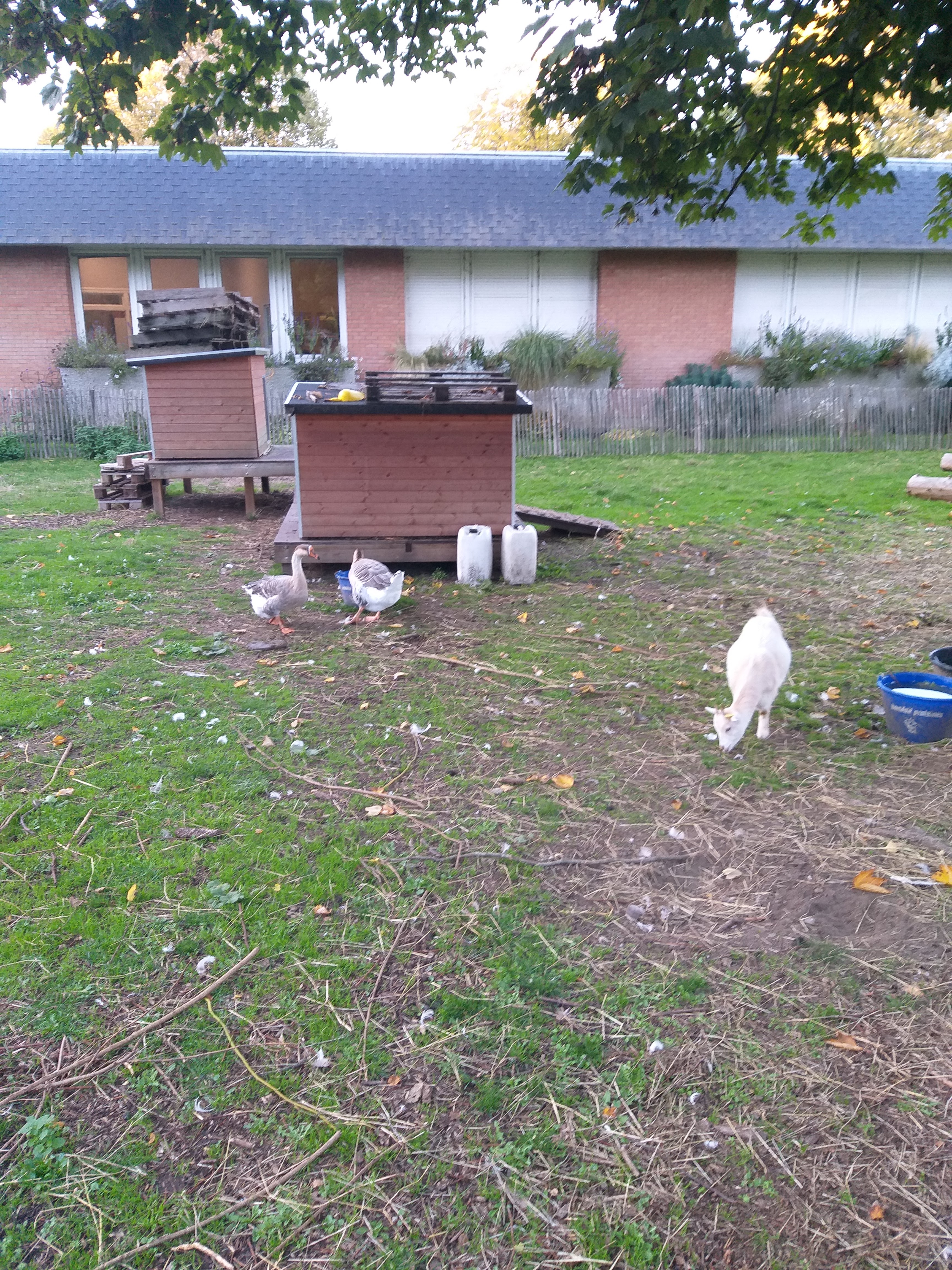 Photo n° 1 de l'avis de Phil.u fait le 19/10/2022 à 08:28