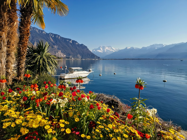 Kommentare und Rezensionen über Seeuferpromenade Montreux