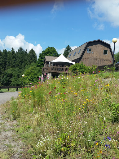 Winery «Six Mile Creek Vineyard», reviews and photos, 1551 Slaterville Rd, Ithaca, NY 14850, USA