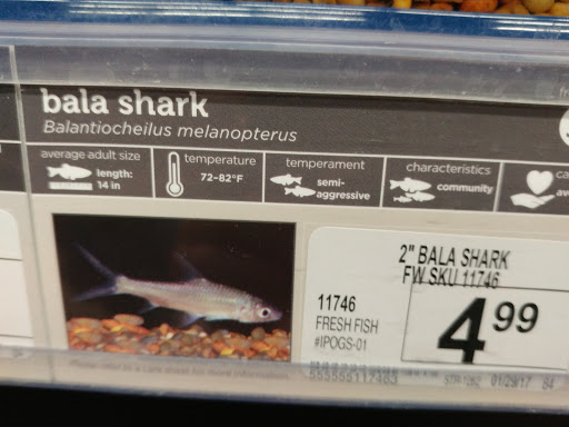 Pet Supply Store «Petco Animal Supplies», reviews and photos, 2210 N Eagle Rd, Meridian, ID 83646, USA