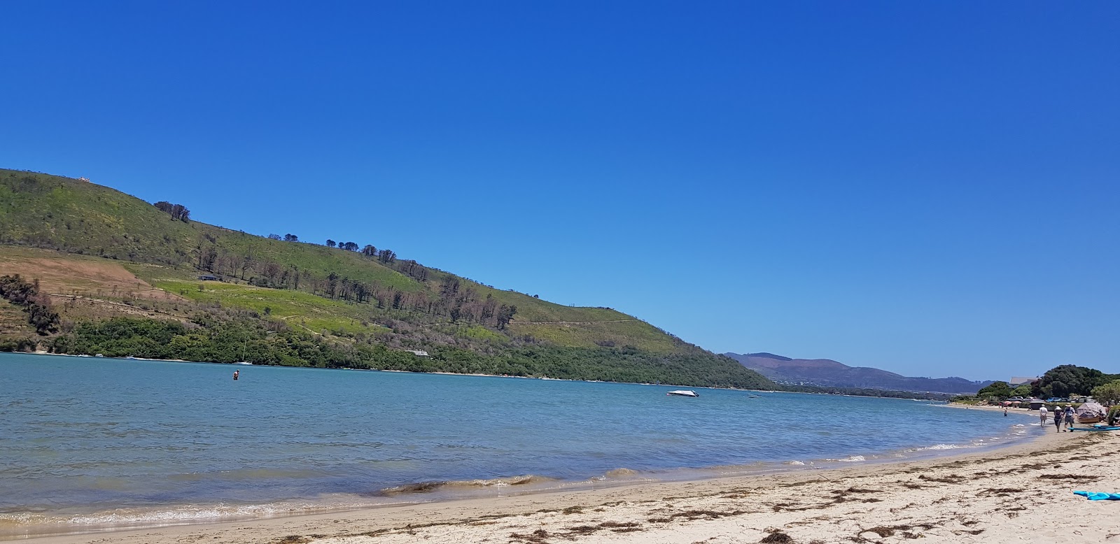 Fotografija Bollards Bay beach divje območje