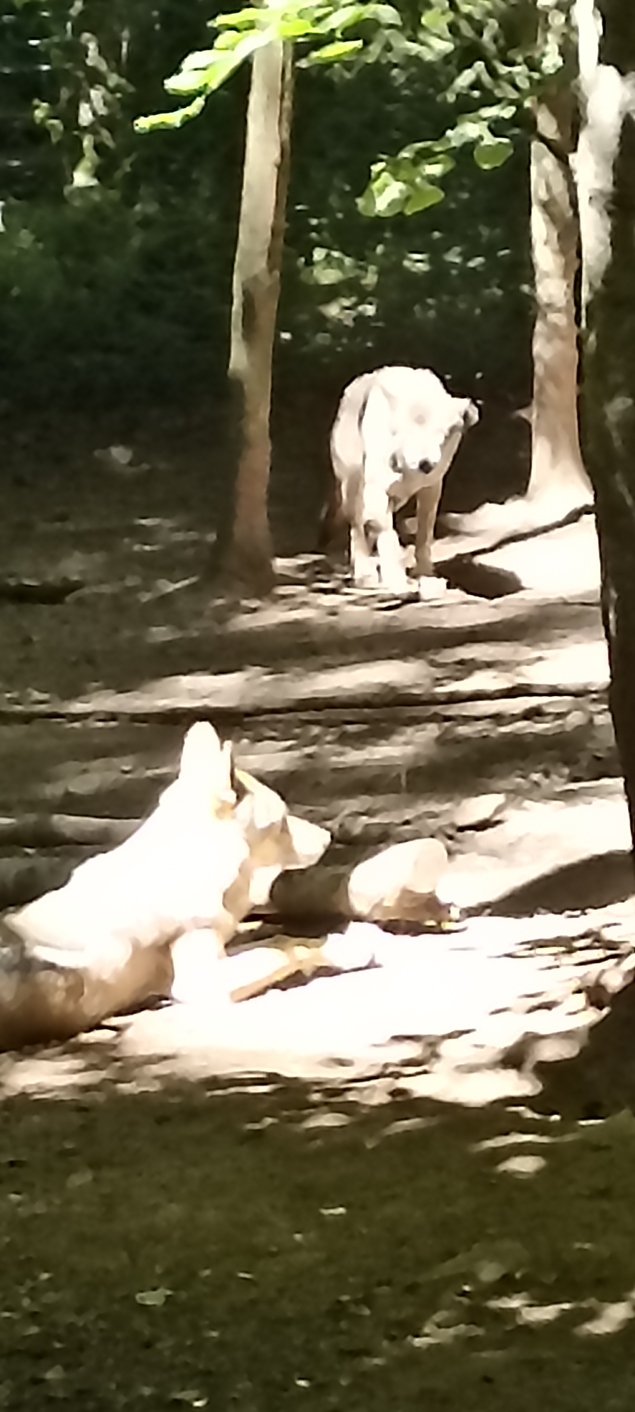 Photo n° 8 de l'avis de Corinne.l fait le 09/07/2022 à 19:05