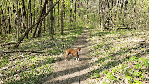 Nature Preserve «Fern Cliff Nature Preserve», reviews and photos, W County Rd 375 S, Greencastle, IN 46135, USA
