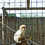 Photo n°12 de l'avis de Marco.a fait le 10/10/2021 à 16:42 sur le  Parc Gallorose à Loc. Cedrino