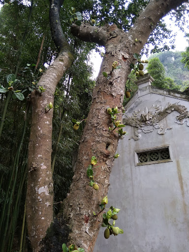 Top 20 cửa hàng son môi Huyện Kim Bảng Hà Nam 2022