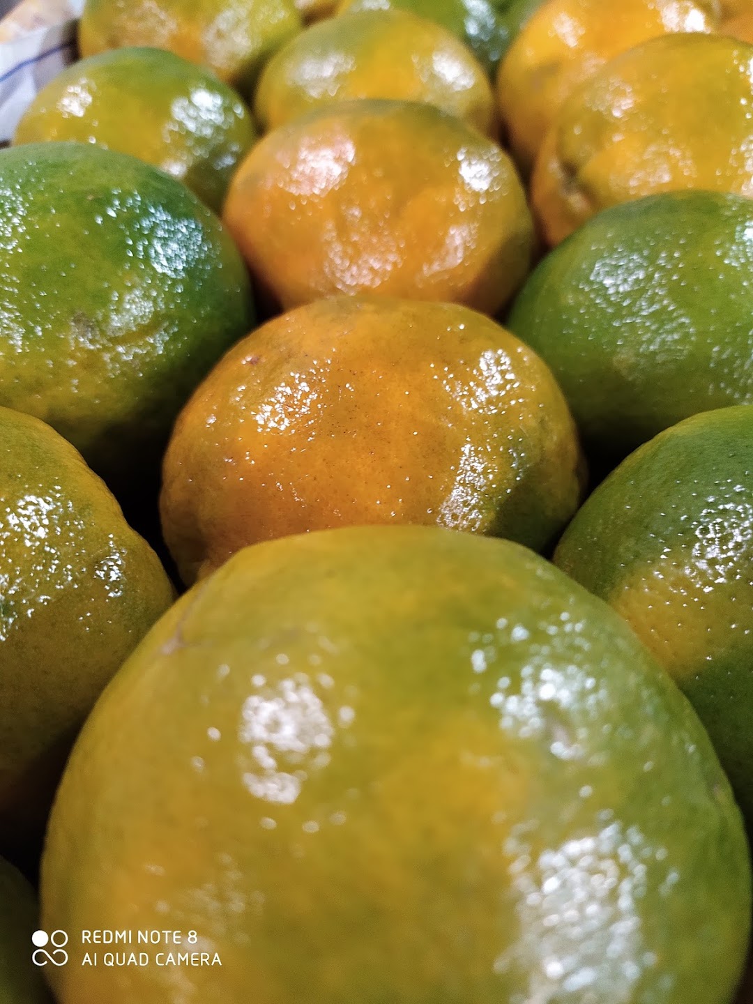 M A A FRUIT COM