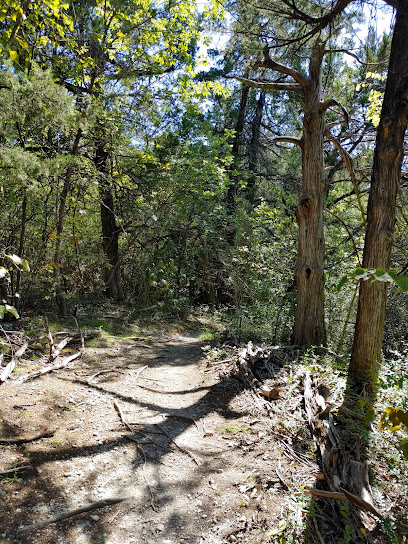 Windmill Hill Preserve Trail