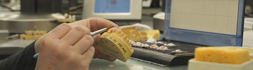 McDowell + Service Dental Laboratory Ltd